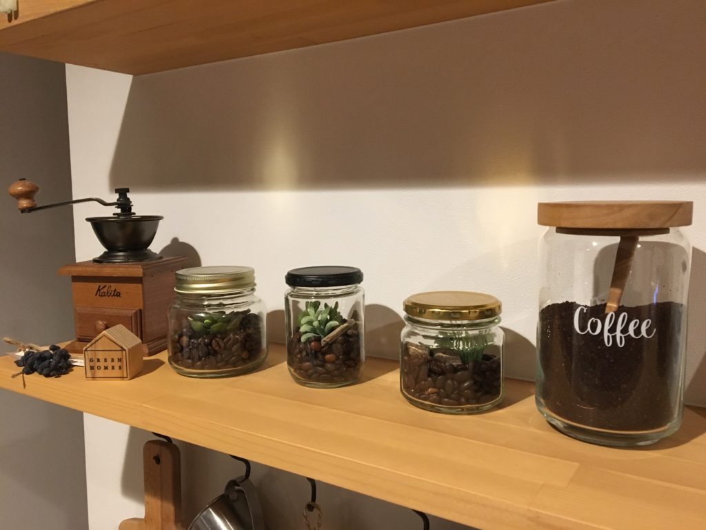 コーヒー豆テラリウム｜八戸市 工務店